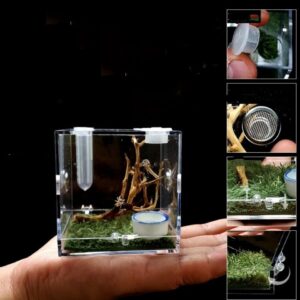 Humidifying Assembly-free Cricket Crawler Singing Insects Ecological Box